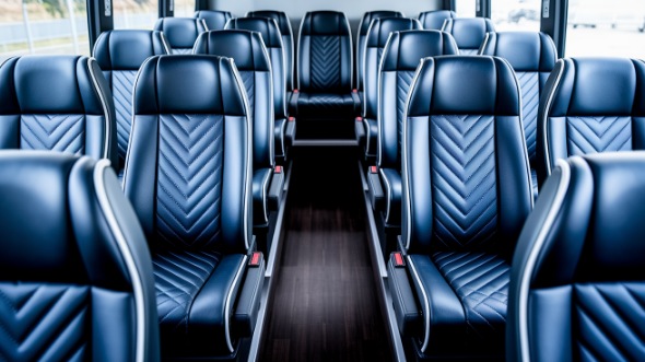 mesquite 15 passenger minibus rental