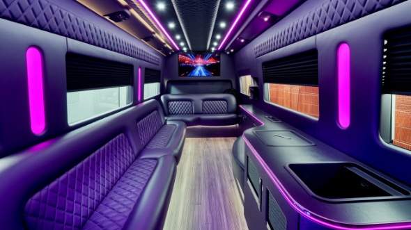 mesquite party bus rental inside