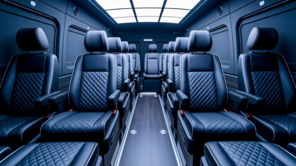 mesquite sprinter van with driver rental
